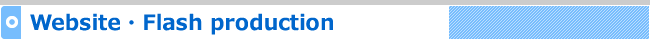 Website/Flash Production