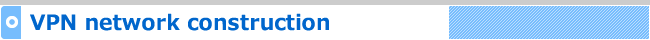VPN network construction